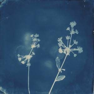Blue soul by Diago Skybeats