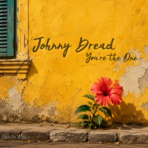 You' re the One by Johnny Dread