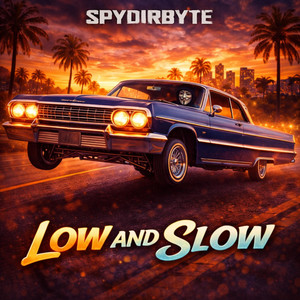 LOW AND SLOW by spydirworld