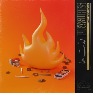 Portada de Pleasures