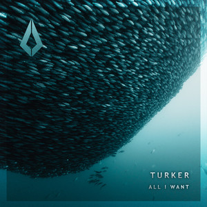 Turker — All I Want (2026)