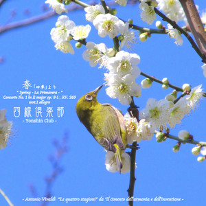 唐船ドーイ - Single by Yonshin Club | Spotify