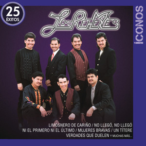 Íconos 25 Éxitos album