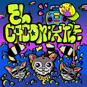 Xochicuicatl - El Cacomixtle