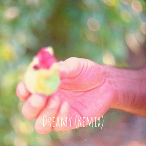 Dreamy - Remix by Mira La Nit, Stranger Attraction