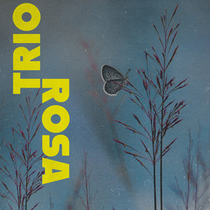 I Picture You by Trio Rosa
