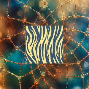 To the Earth - Meditation by Prizes for Tigers