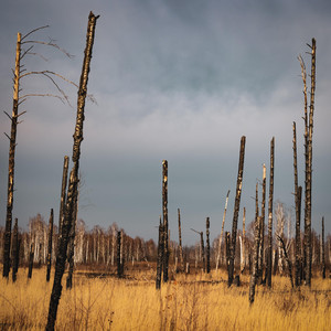 Chornobyl 22