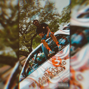 Portada de Chicken