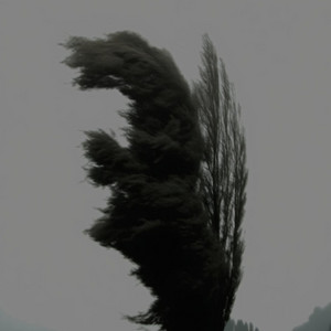 Raine Almeida - Um Novo Dia Virá (Cover)