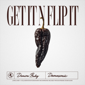 Get It n Flip It by Demon Baby, damnsonic
