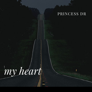 my heart by princess dr