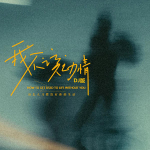 我不该动情 (DJ版|该怎么习惯没有你的生活) by 杨凯盛