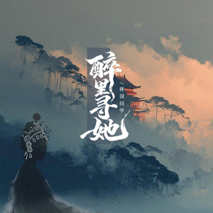 醉里寻她 - 氛围版 by 黄泽国