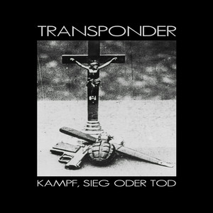 Bad Blue Boys by Transponder