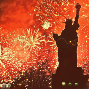 PARTY IN THE USA.