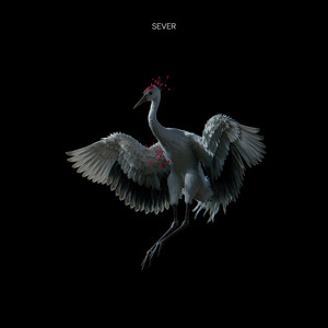 Hikari by SEVER