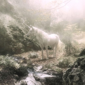 unicorn (freestyle)