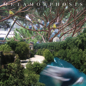 Metamorphosis by Alex Rolland