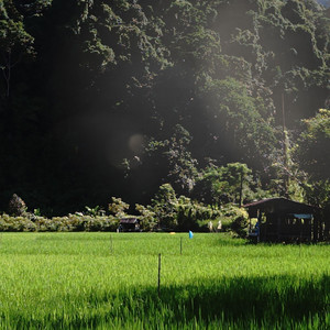 kampung halaman
