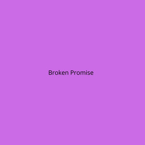 Broken Promise by dj poni nyc90