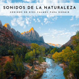 Sonidos De La Naturaleza: Sonidos De Ríos Calmos Para Dormir album