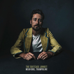 Everything I Like by The Suitcase Junket