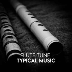Flt Typical Music