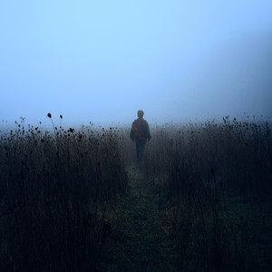 Distorted Dreams