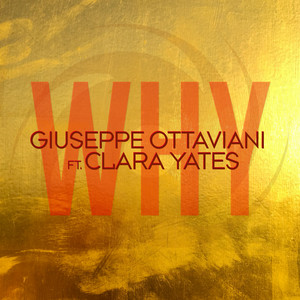 Why by Giuseppe Ottaviani, Clara Yates