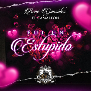 Fui Un Estupido