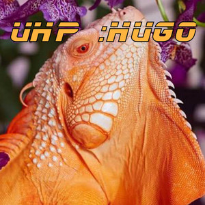 Hugo by UHP.music