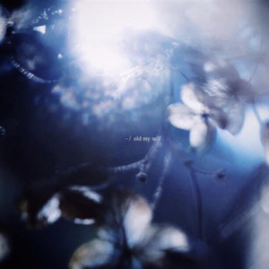 -/ my old self by AM