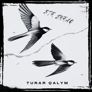 SHEKARA by Turar Qalym
