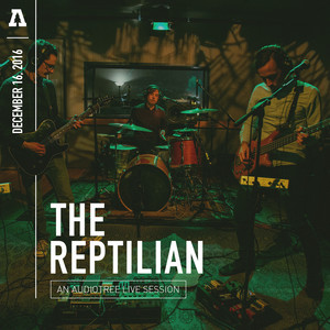 Fold and Follow - Audiotree Live Version by The Reptilian