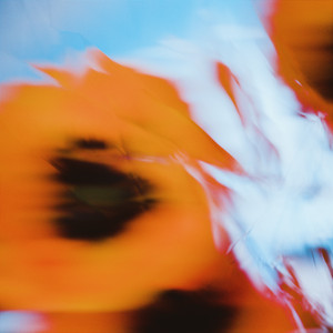 puulse — never leave (2026)