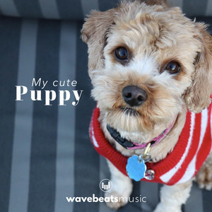 WavebeatsMusic - My Cute Puppy