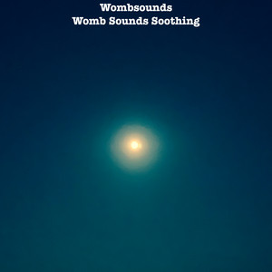 Womb Sounds Soothing