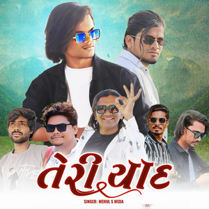 Mehul S Meda - Ter Yaadein Part 1 by Mehul S Meda