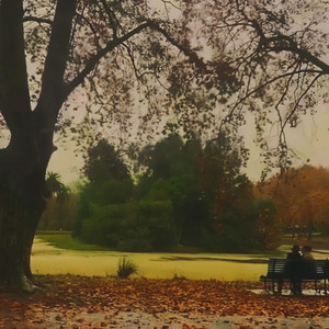 Them & I - Bathed in Grey