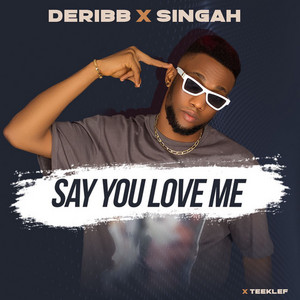 Say You Love Me - Remix by Deribb, Singah, Teeklef
