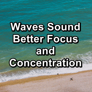 Waves Sound Better Focus and Concentration album