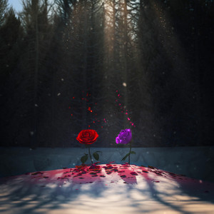 Love and Loss by Two Roses