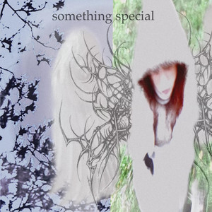 Portada de something special