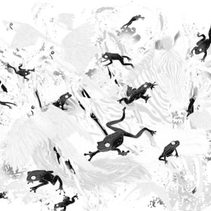 Golden Toad - Paul Keilhau Remix by Felix Rösch, Paul Keilhau