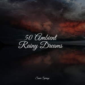 50 Loopable Rain Sounds for Sleep and Relaxation album