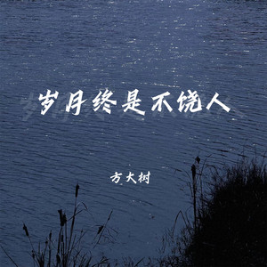 岁月终是不饶人 by 方大树