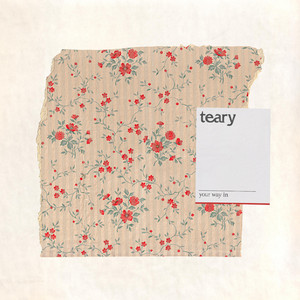 Through the Side Door by Teary
