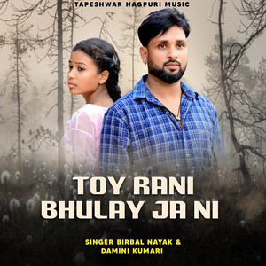 Toy Rani Bhulay Ja Ni