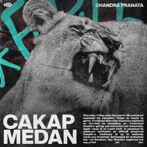 BANYAK STEL GILAK by CHANDRA PRANATA